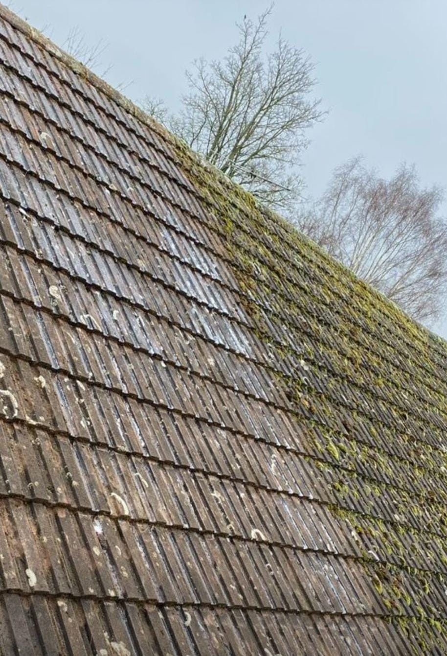 A tiled roof part-cleared of moss, showing clean tile against mossy tile